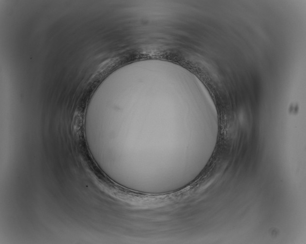 X0000097860036200803281322