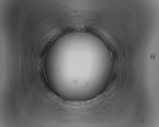 X0000097860037200803281322