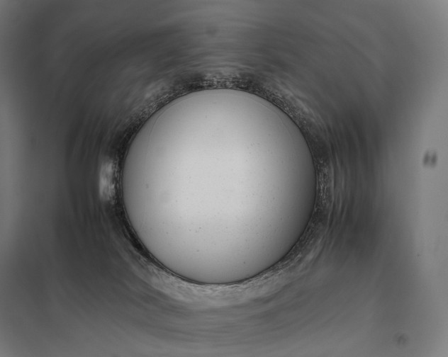 X0000097860038200803281322