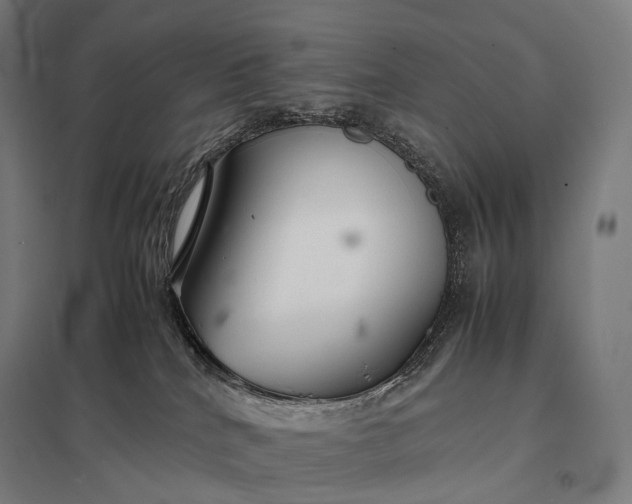 X0000097860040200803281322