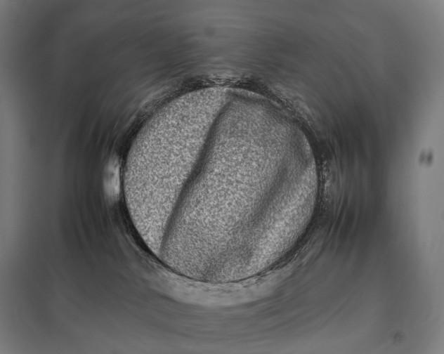 X0000097860042200803281322