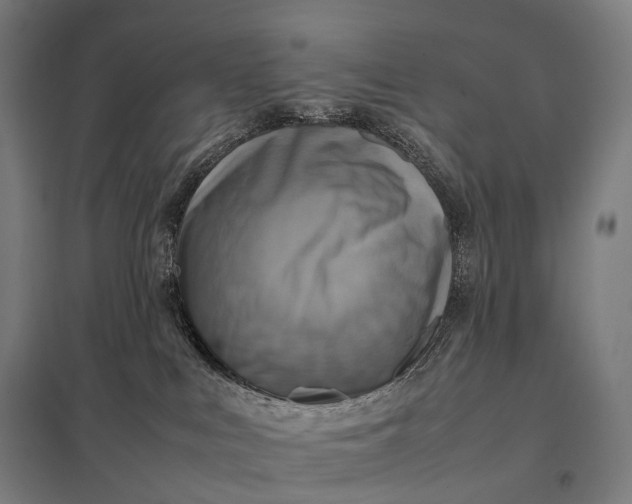 X0000097860043200803281322