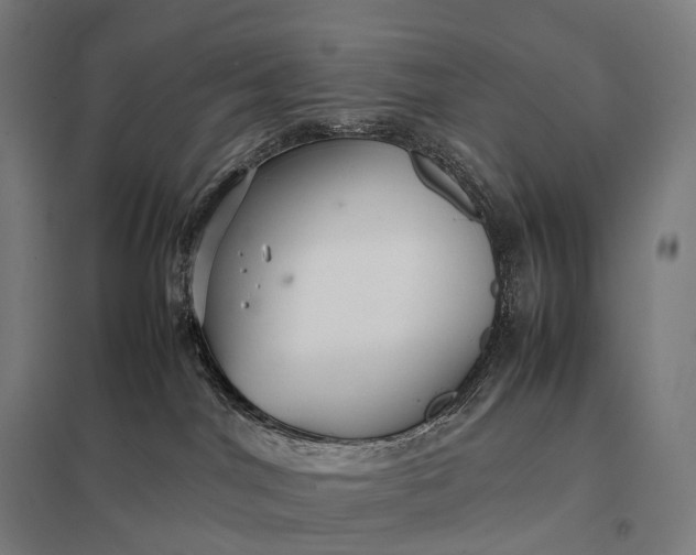 X0000097860044200803281322