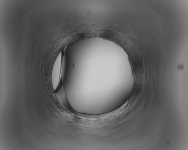 X0000097860045200803281322