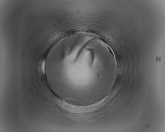 X0000097860047200803281321