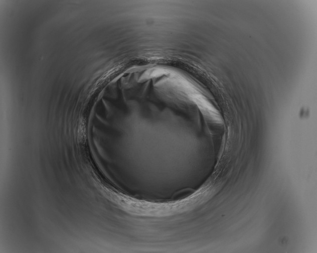 X0000097860048200803281321