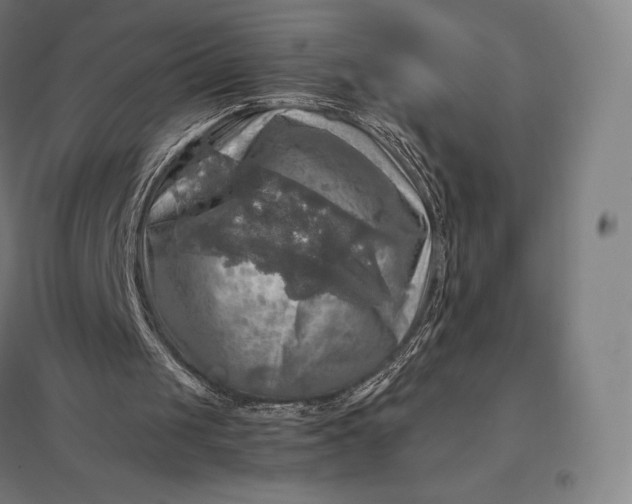 X0000097860049200803281321