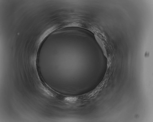 X0000097860051200803281321