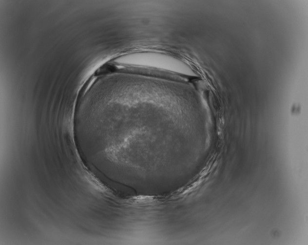 X0000097860052200803281321