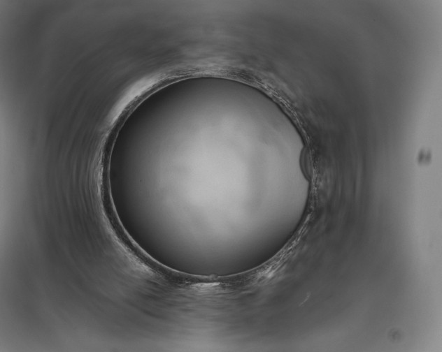 X0000097860054200803281321