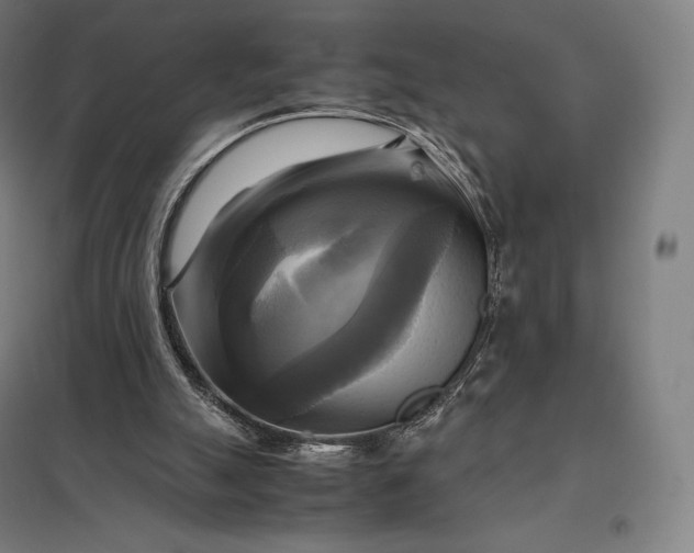 X0000097860055200803281321