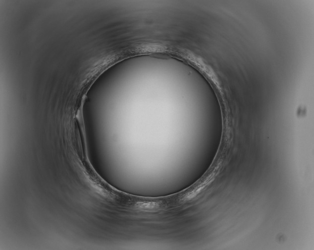 X0000097860057200803281321