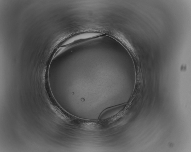 X0000097860058200803281321