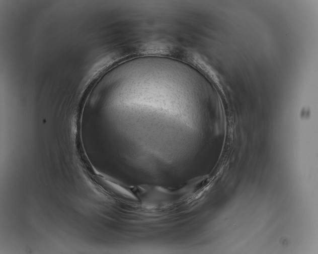 X0000097860059200803281321