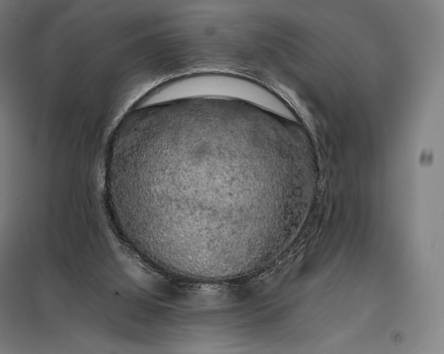 X0000097860060200803281321