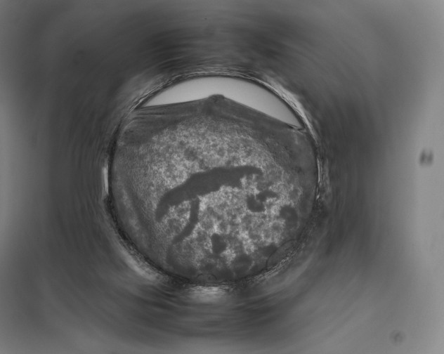 X0000097860061200803281321