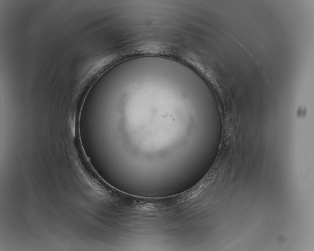 X0000097860062200803281321