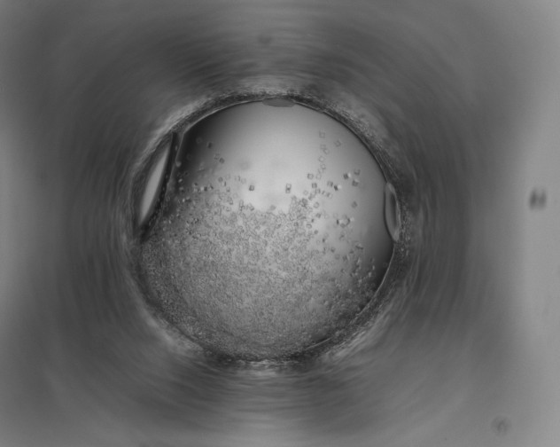 X0000097860064200803281321