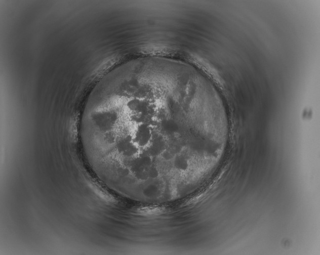 X0000097860065200803281321