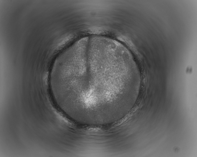 X0000097860066200803281321