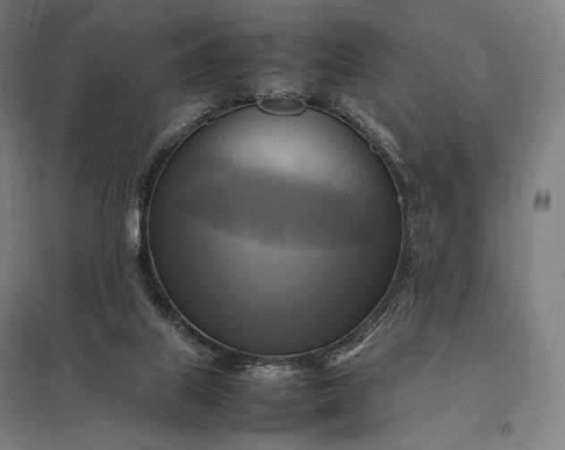 X0000097860067200803281321