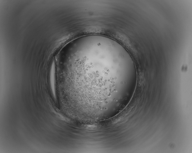 X0000097860068200803281321