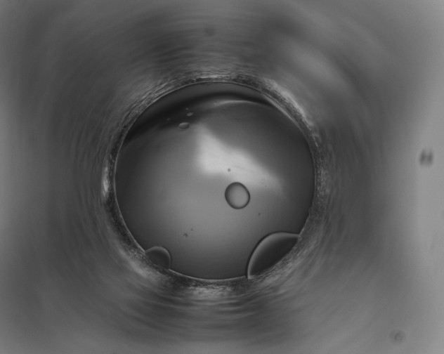 X0000097860069200803281321