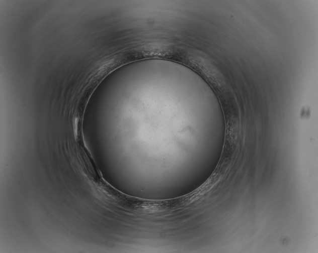 X0000097860070200803281321