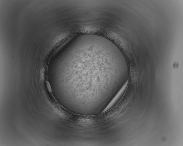 X0000097860071200803281321