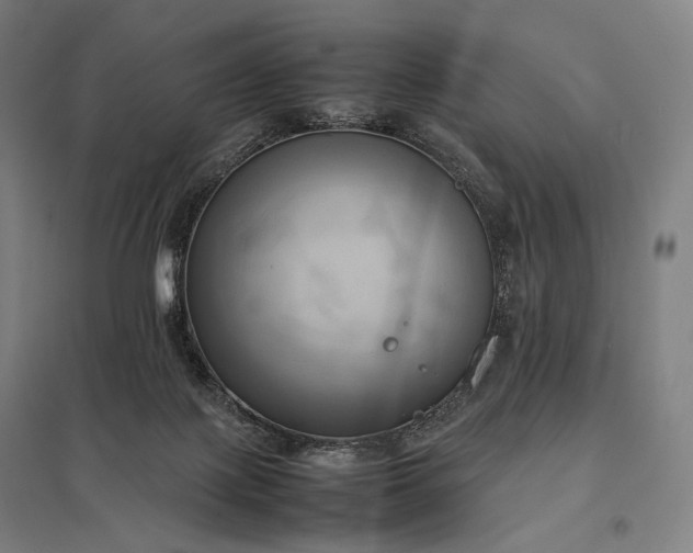 X0000097860075200803281321