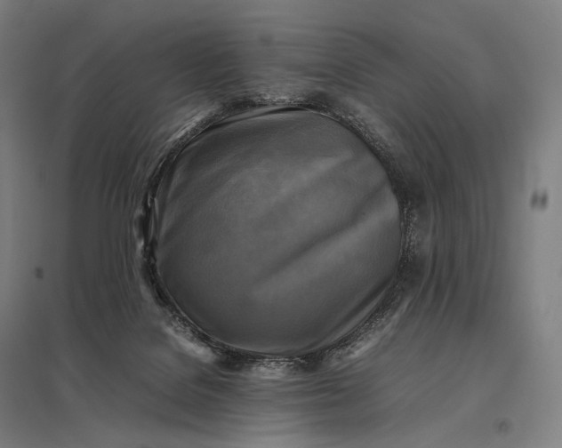 X0000097860076200803281321