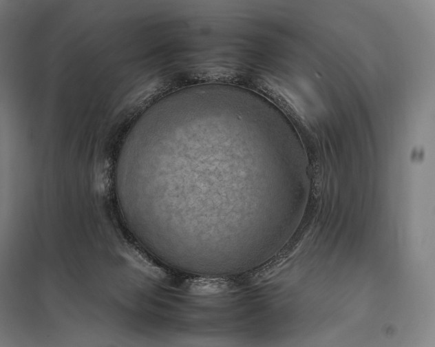 X0000097860077200803281321