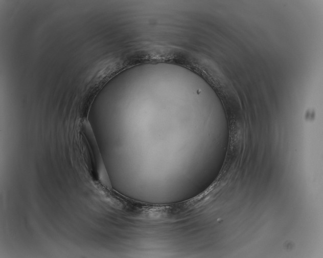 X0000097860078200803281321