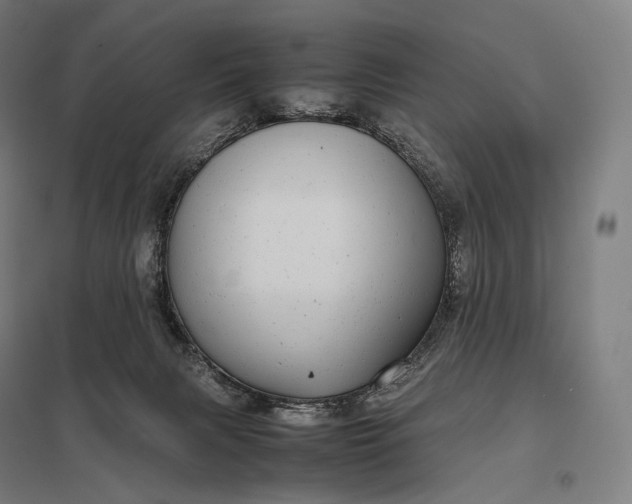 X0000097860079200803281321