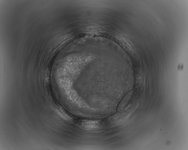 X0000097860081200803281321