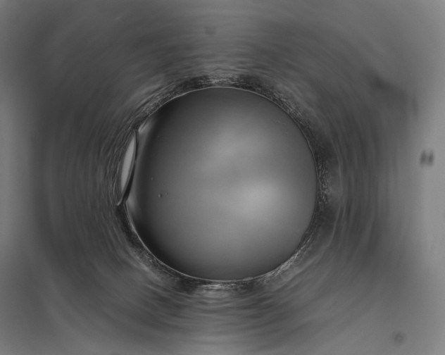 X0000097860082200803281321