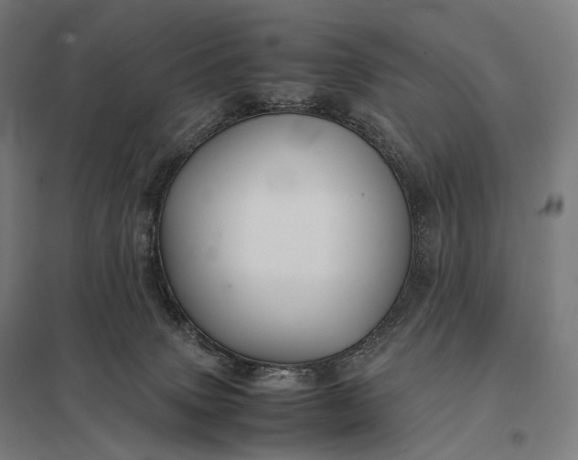 X0000097860083200803281321