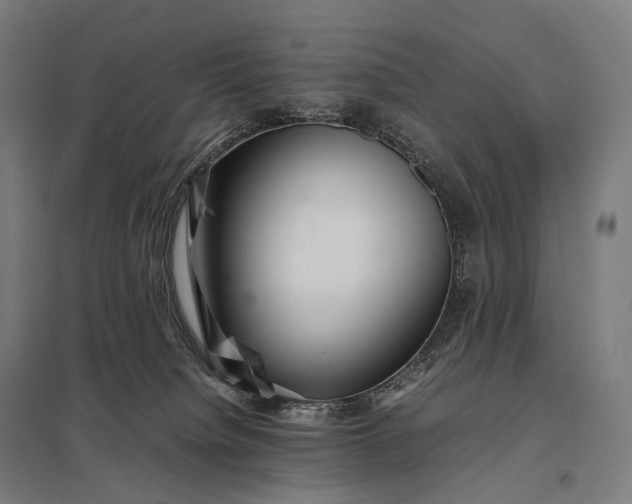 X0000097860084200803281321