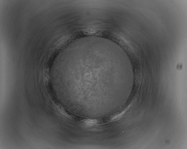 X0000097860085200803281321