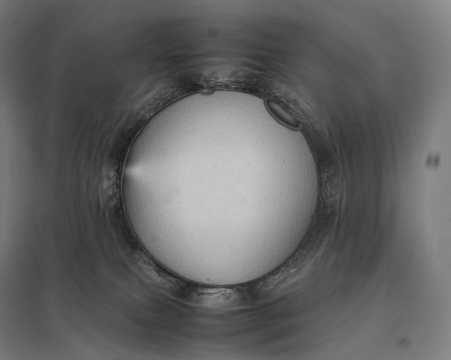 X0000097860087200803281321