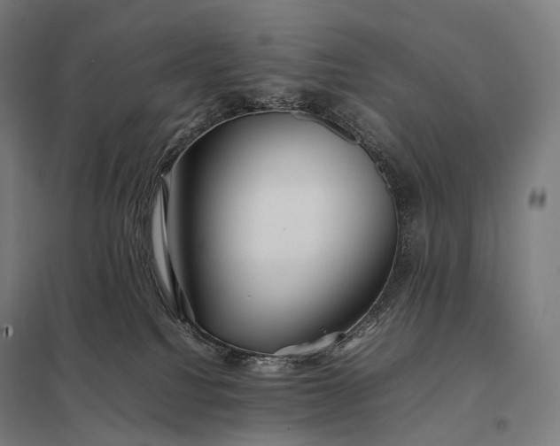 X0000097860088200803281321