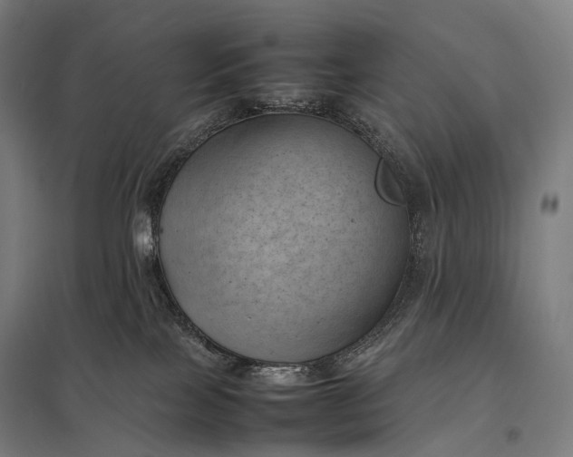 X0000097860089200803281321