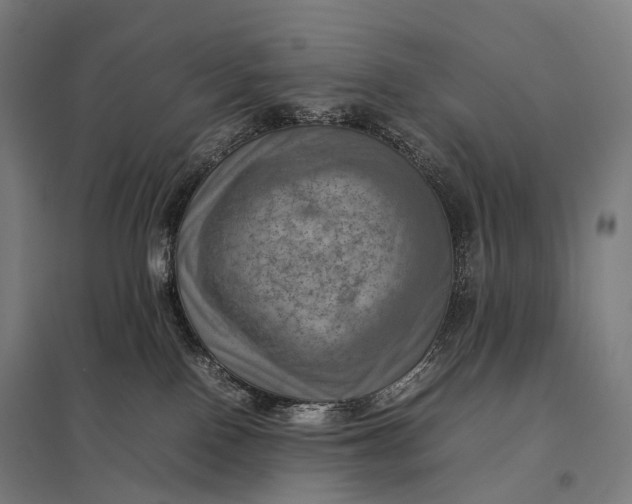 X0000097860090200803281321