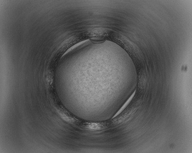 X0000097860091200803281321