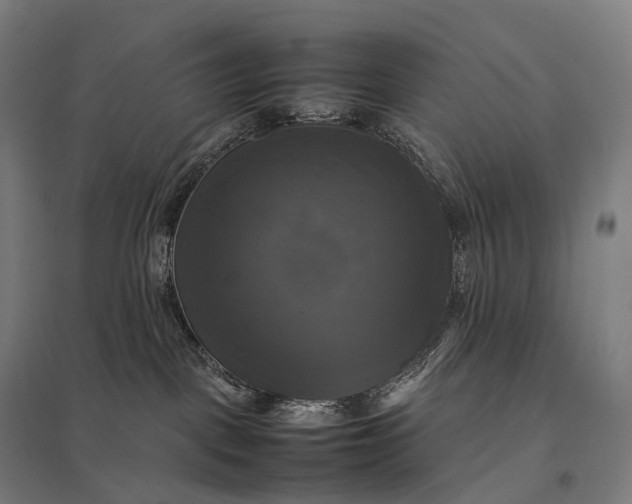 X0000097860093200803281321