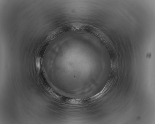 X0000097860094200803281321