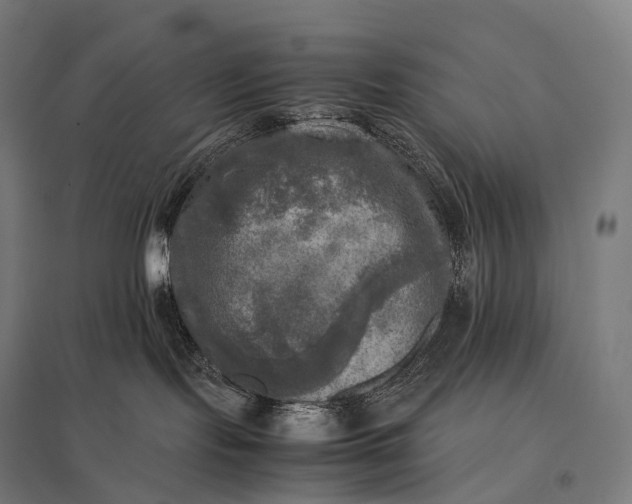 X0000097860095200803281321