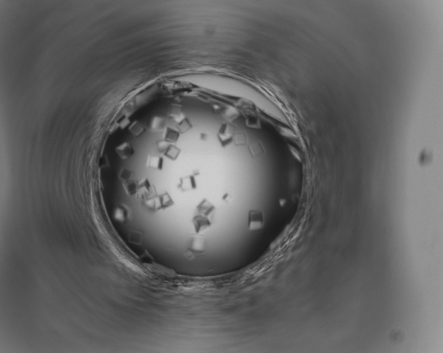 X0000097860097200803281321