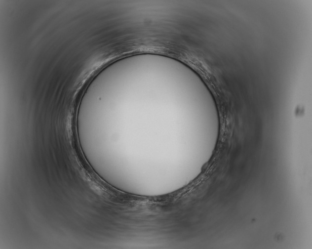 X0000097860098200803281321