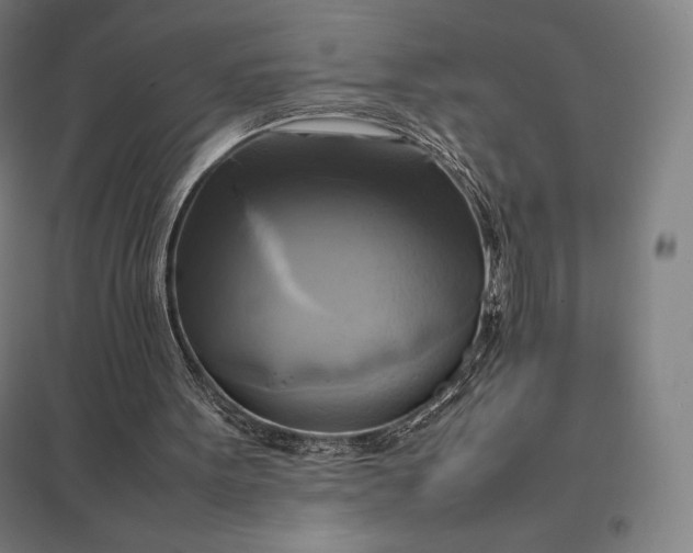 X0000097860099200803281321